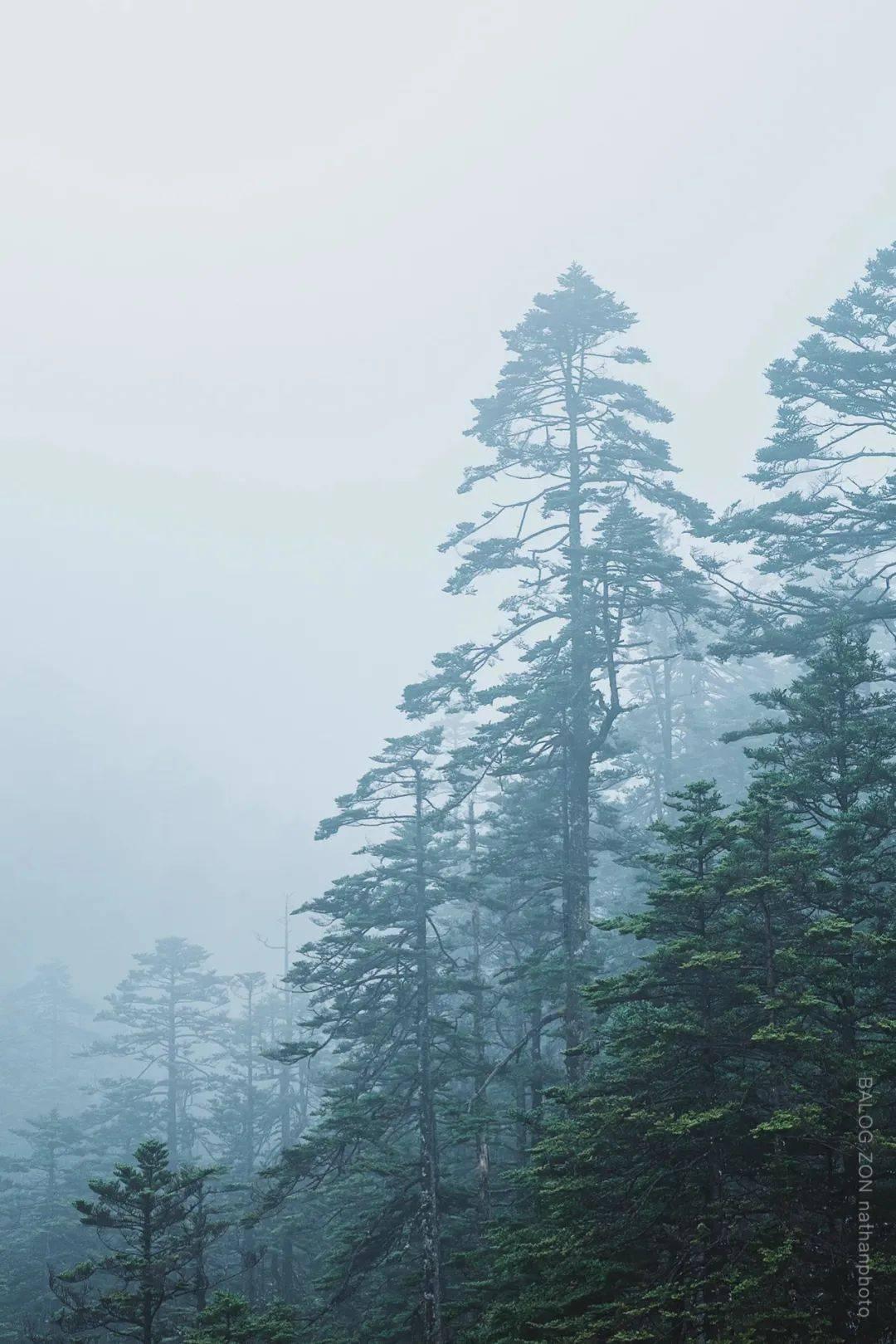 火箭传奇2